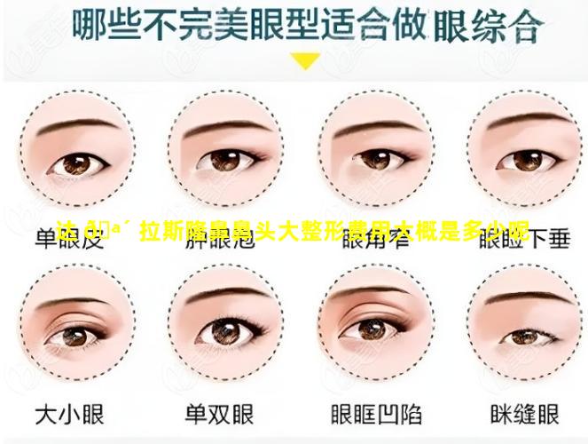 达 🪴 拉斯隆鼻鼻头大整形费用大概是多少呢